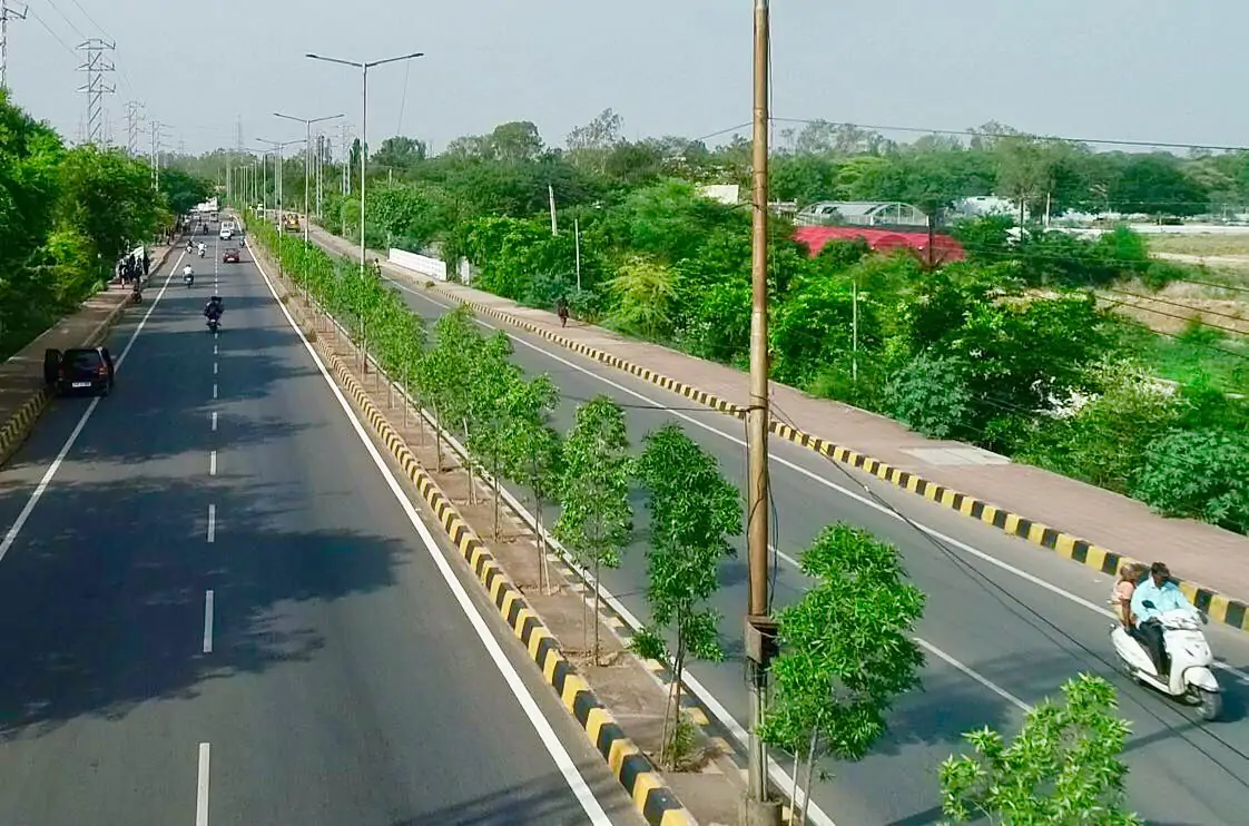 Median Plantation