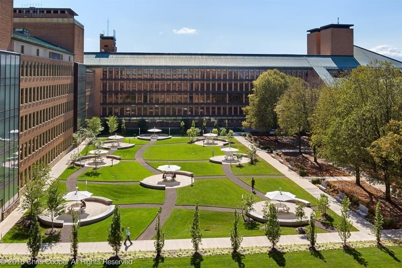 Corporate & Institutional Landscaping garden