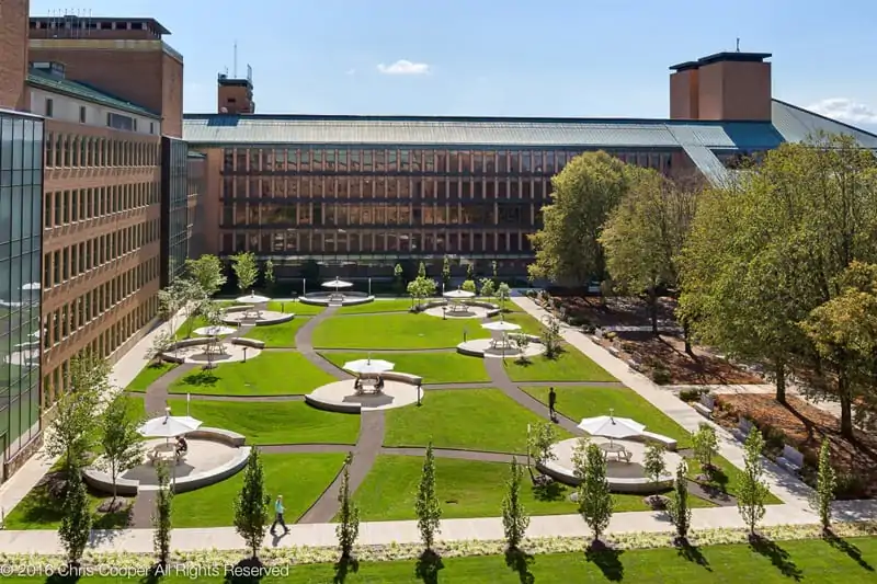 Corporate & Institutional Landscaping garden