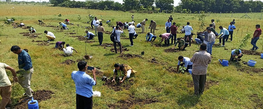 CSR & Environmental Plantation